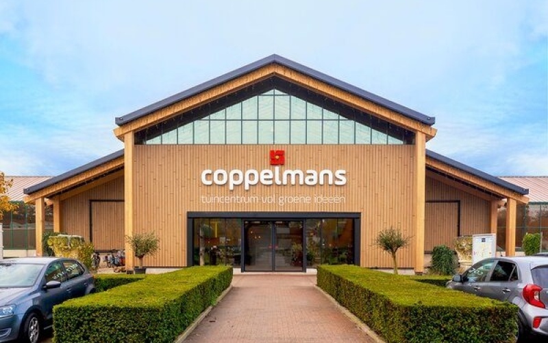 Coppelmans