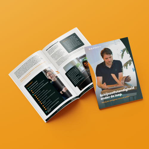 Whitepaper: Schijnzelfstandigheid onder de loep
